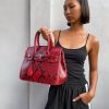 PYTHON BIRKIN