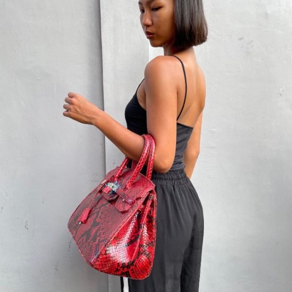 PYTHON BIRKIN - Image 4
