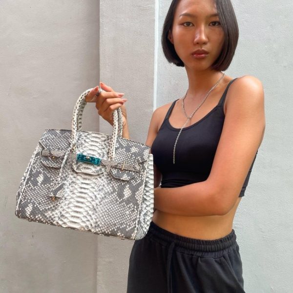 PYTHON BIRKIN - Image 4