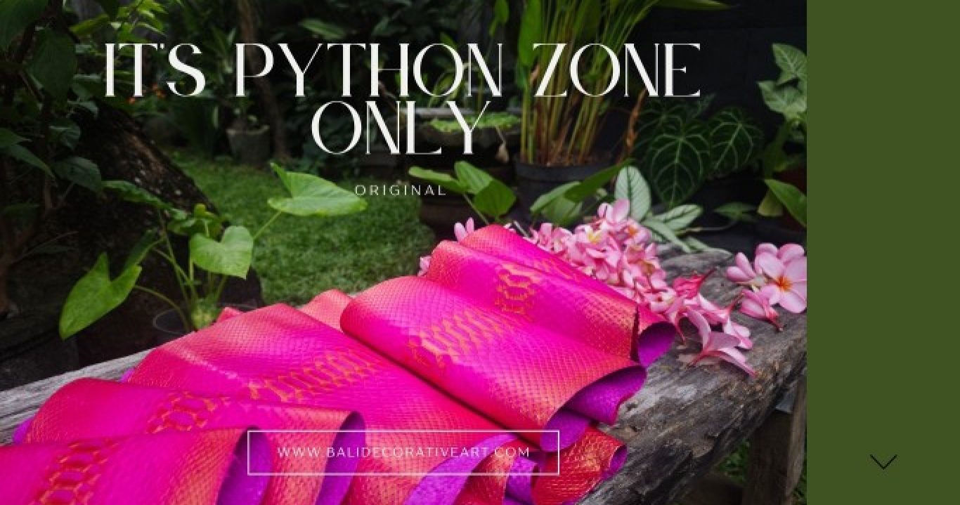 It'spythonzoneonly_20250809_200450_0000_copy_683x384